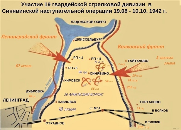 Карта-схема Участие 19-й гвардейской стрелковой дивизии в Синявинской операции. Составители Ю.К. Елистратов, А.Г. Полтанов